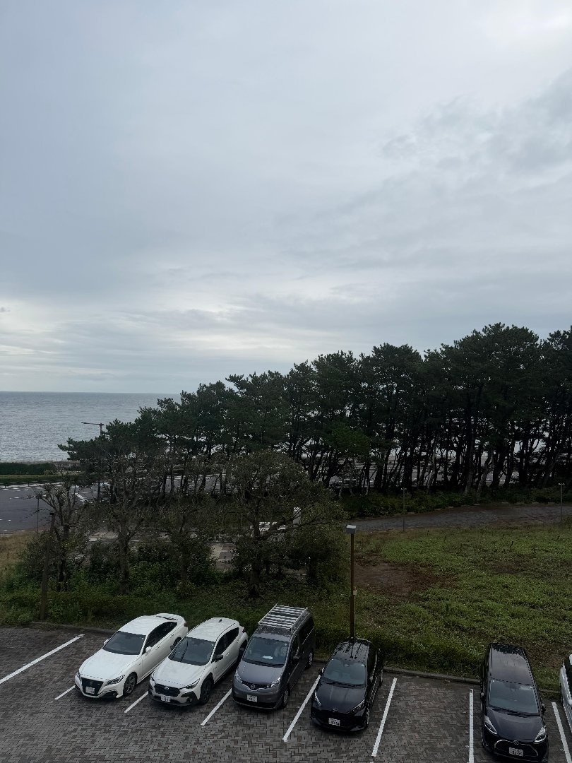 IMG_2998.jpeg