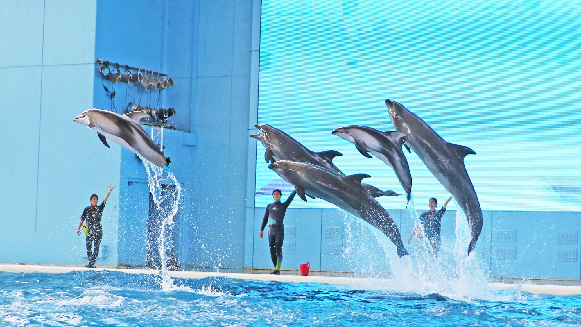 Aqua Stadium