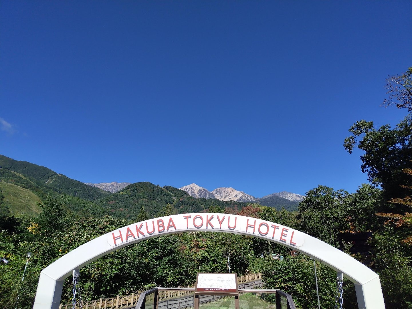 1000024713.jpg