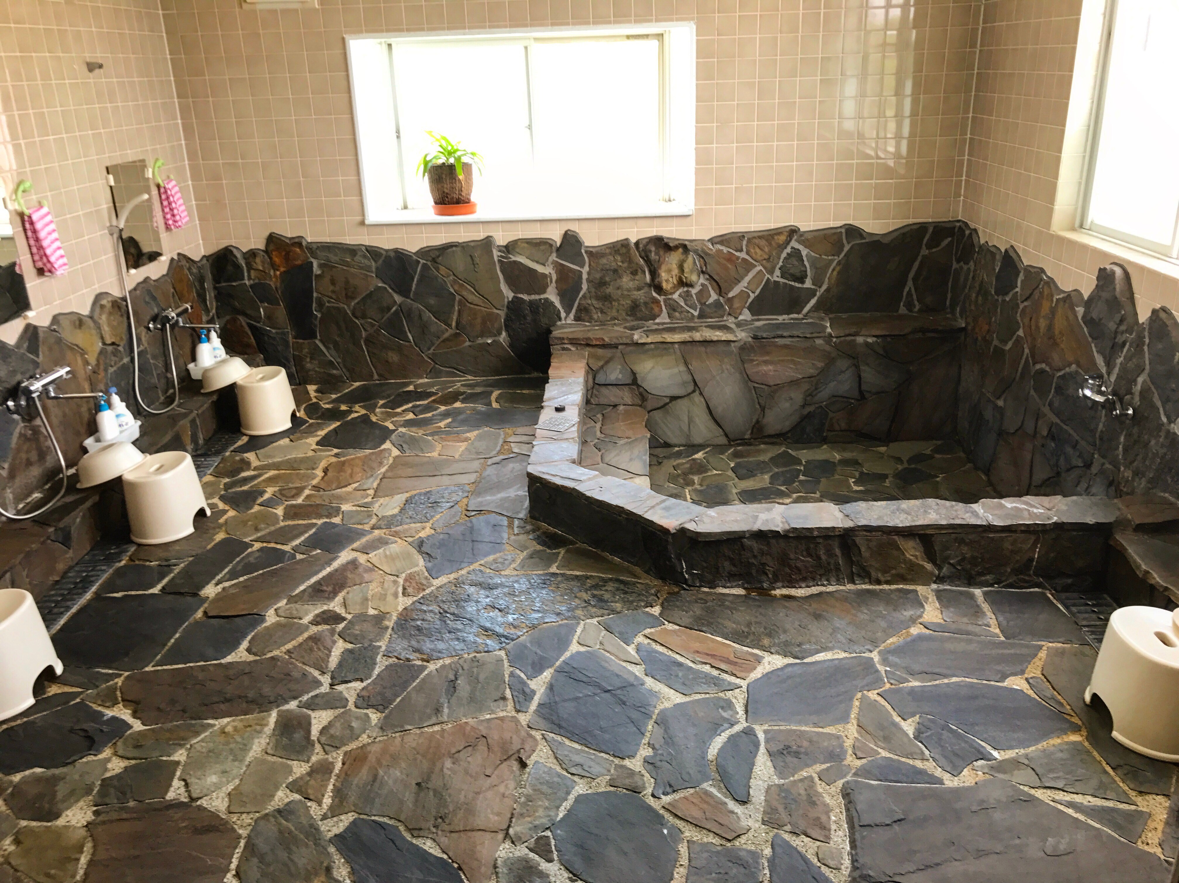 Spacious large communal bath