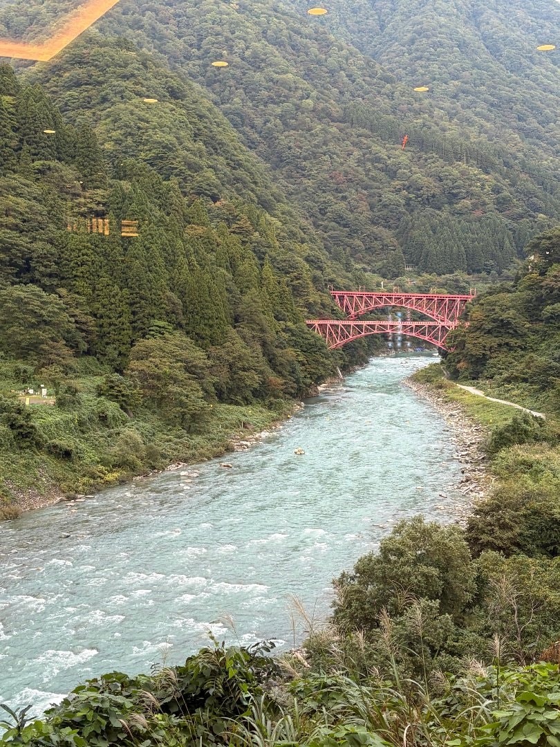 CF7833DE-3990-4196-9C4B-932E362CDC3A.jpeg
