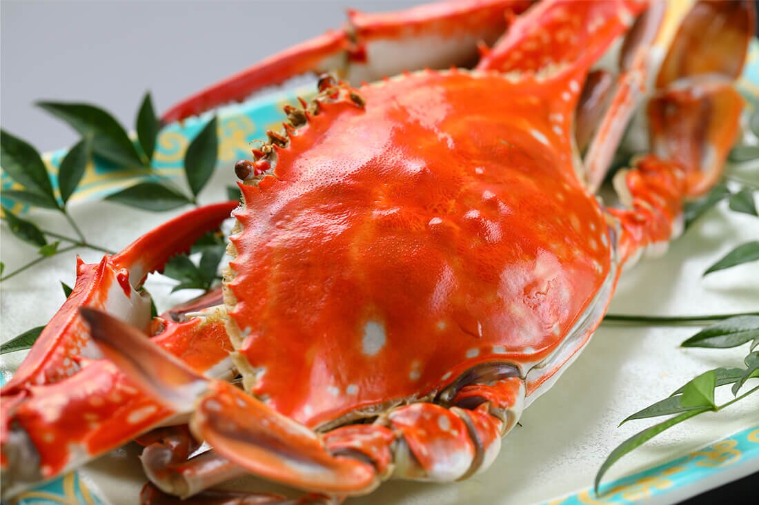 Kepiting biru