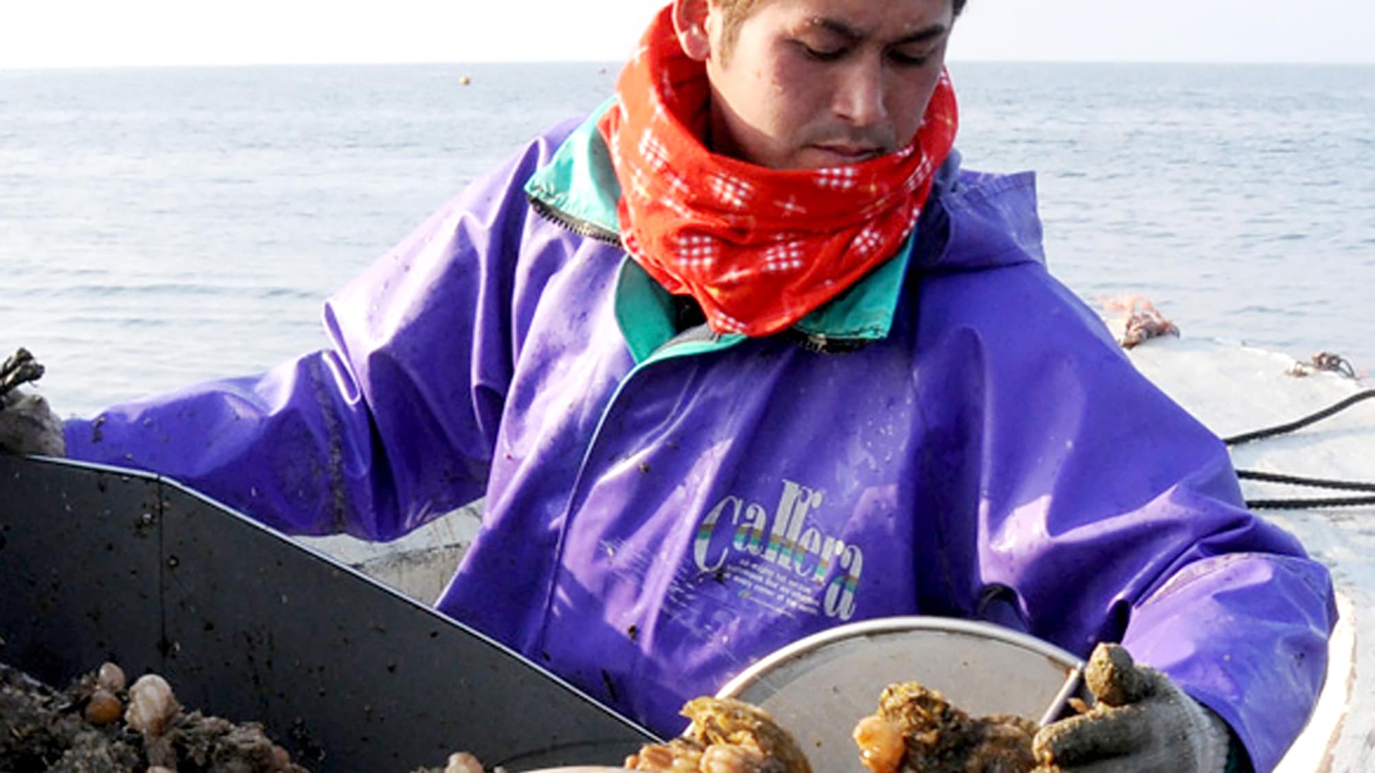 *Enjoy seasonal seafood carefully selected by fishermen♪