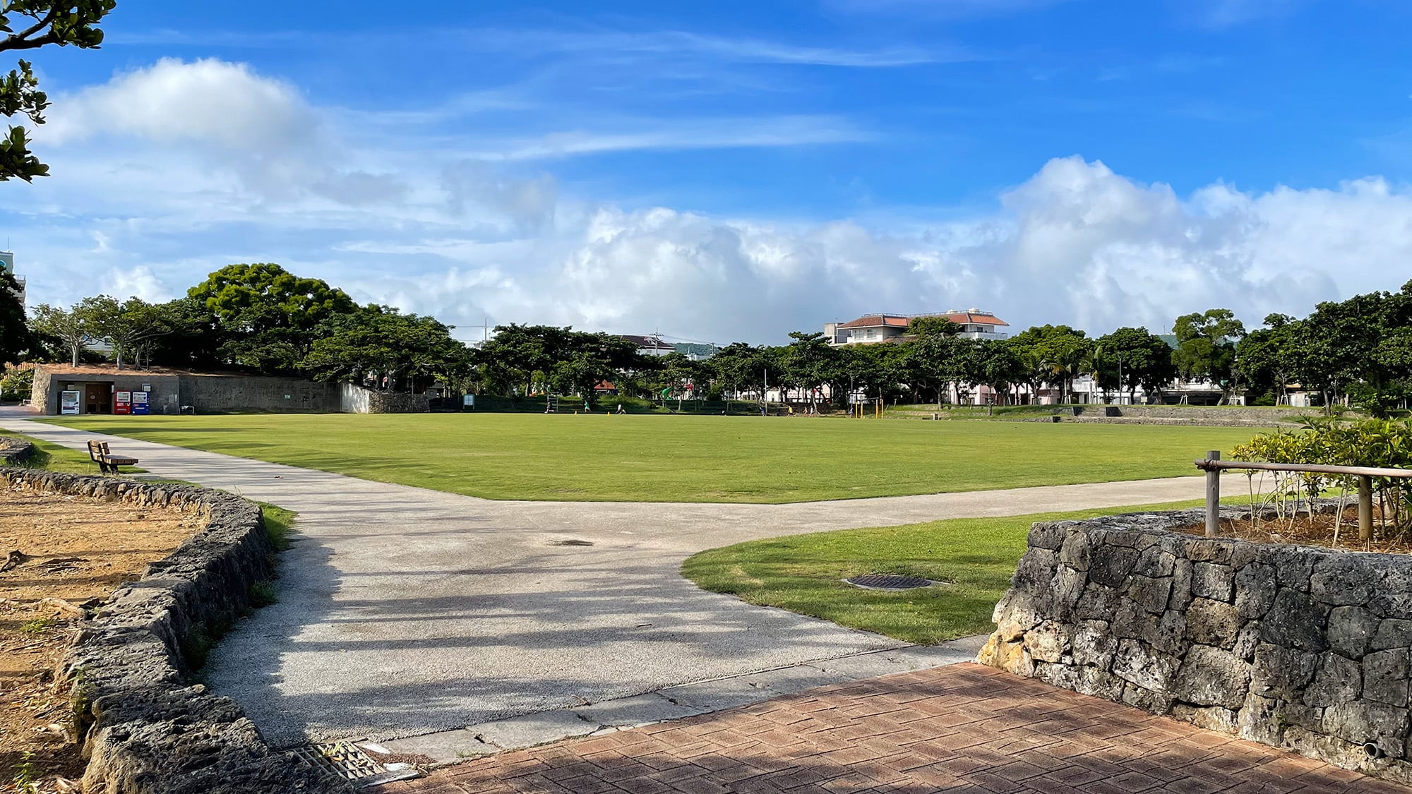 Shinei Park