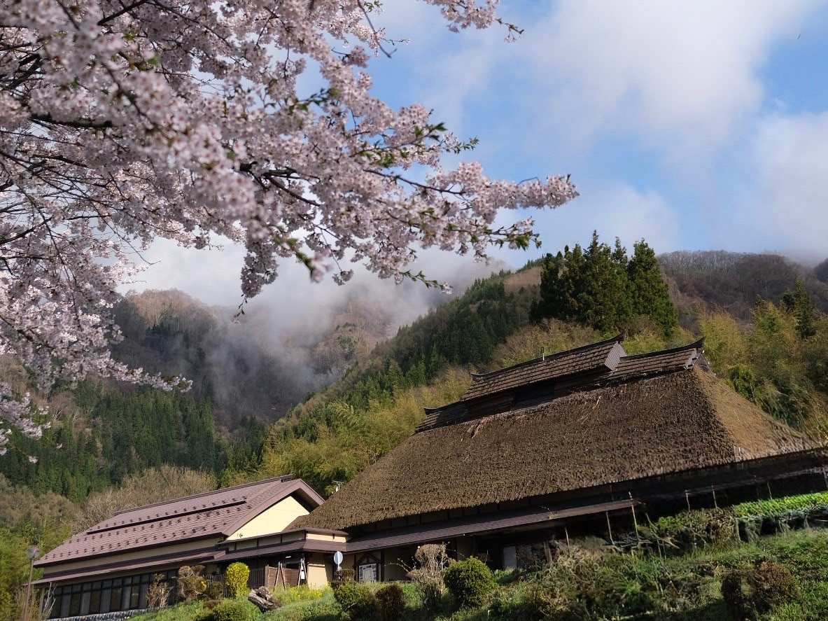 Yakimochiya musim semi