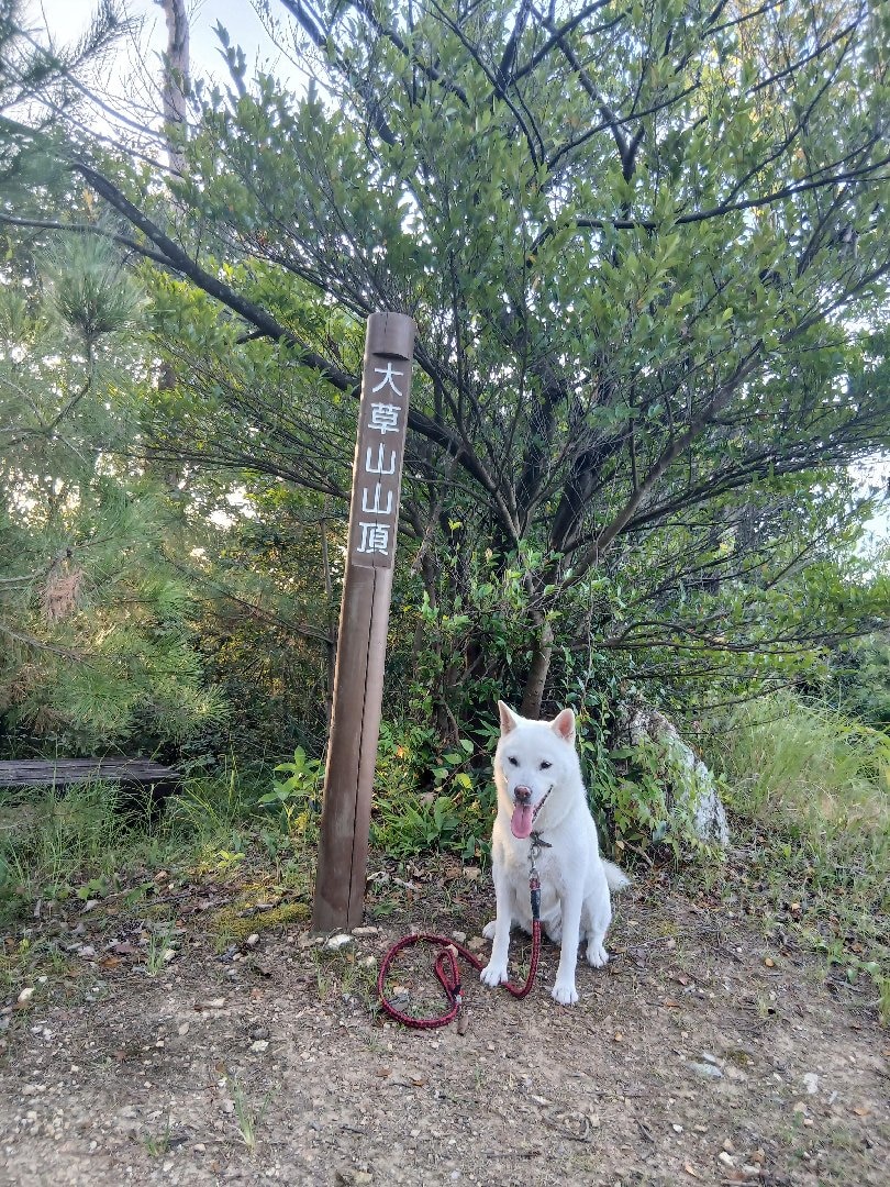 1000003160.jpg