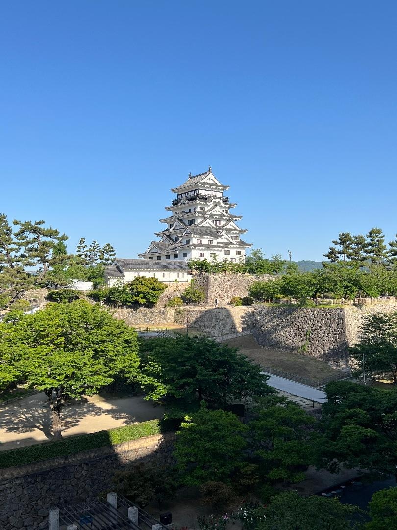 IMG_3788.jpeg