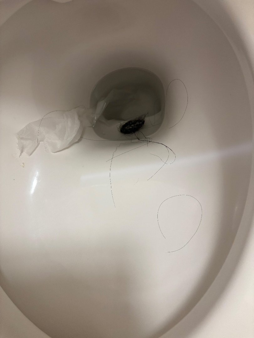 39B5B2B4-C9B2-4DDB-8E63-E1C01C5FEC7D.jpeg