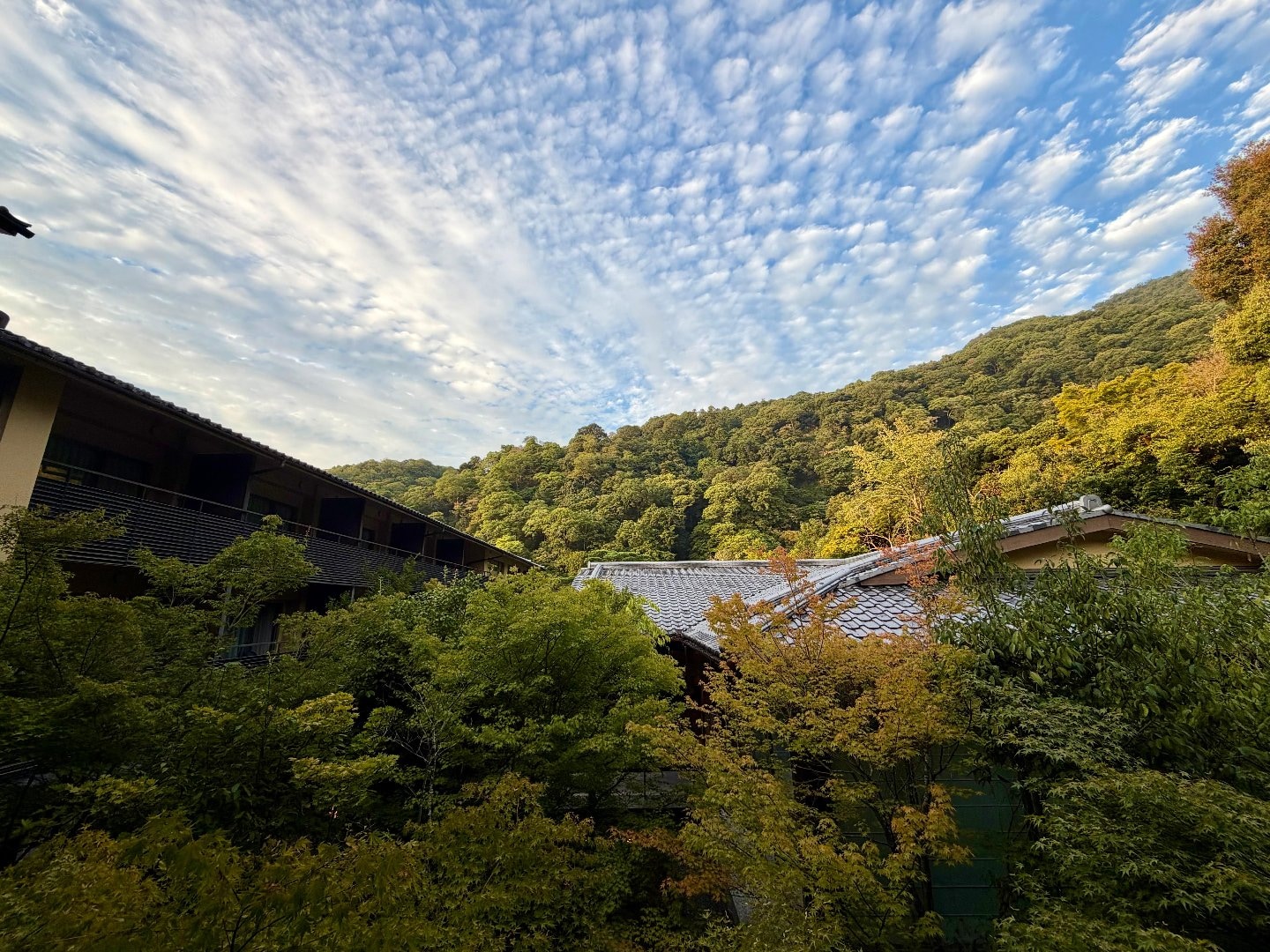 8B9CAD03-B42C-4B9D-9340-07B30989BB87.jpeg