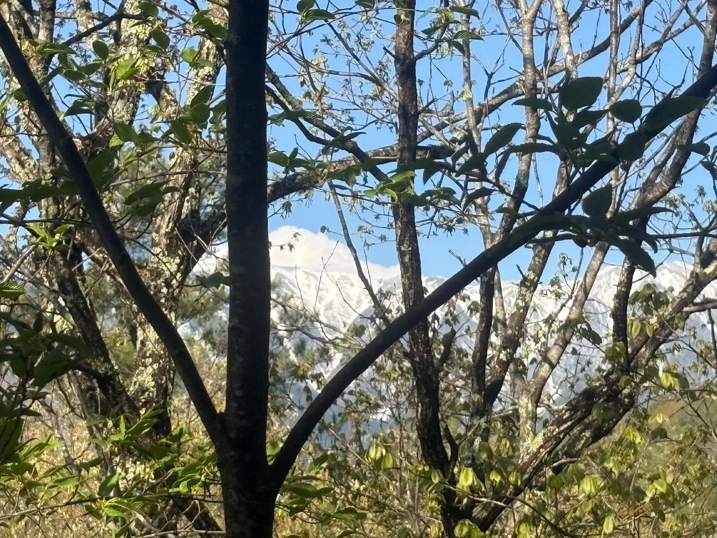 IMG_3557.jpeg