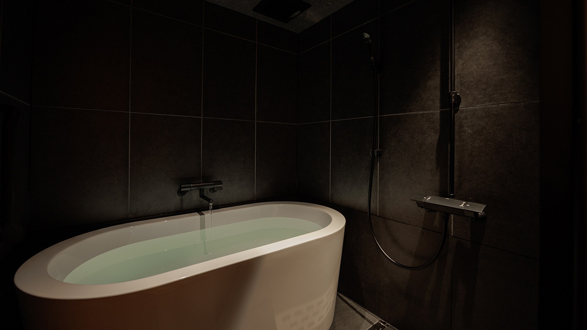 Semi-suite Room Shakunage