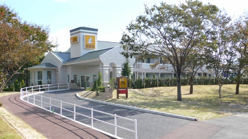 Appearance image