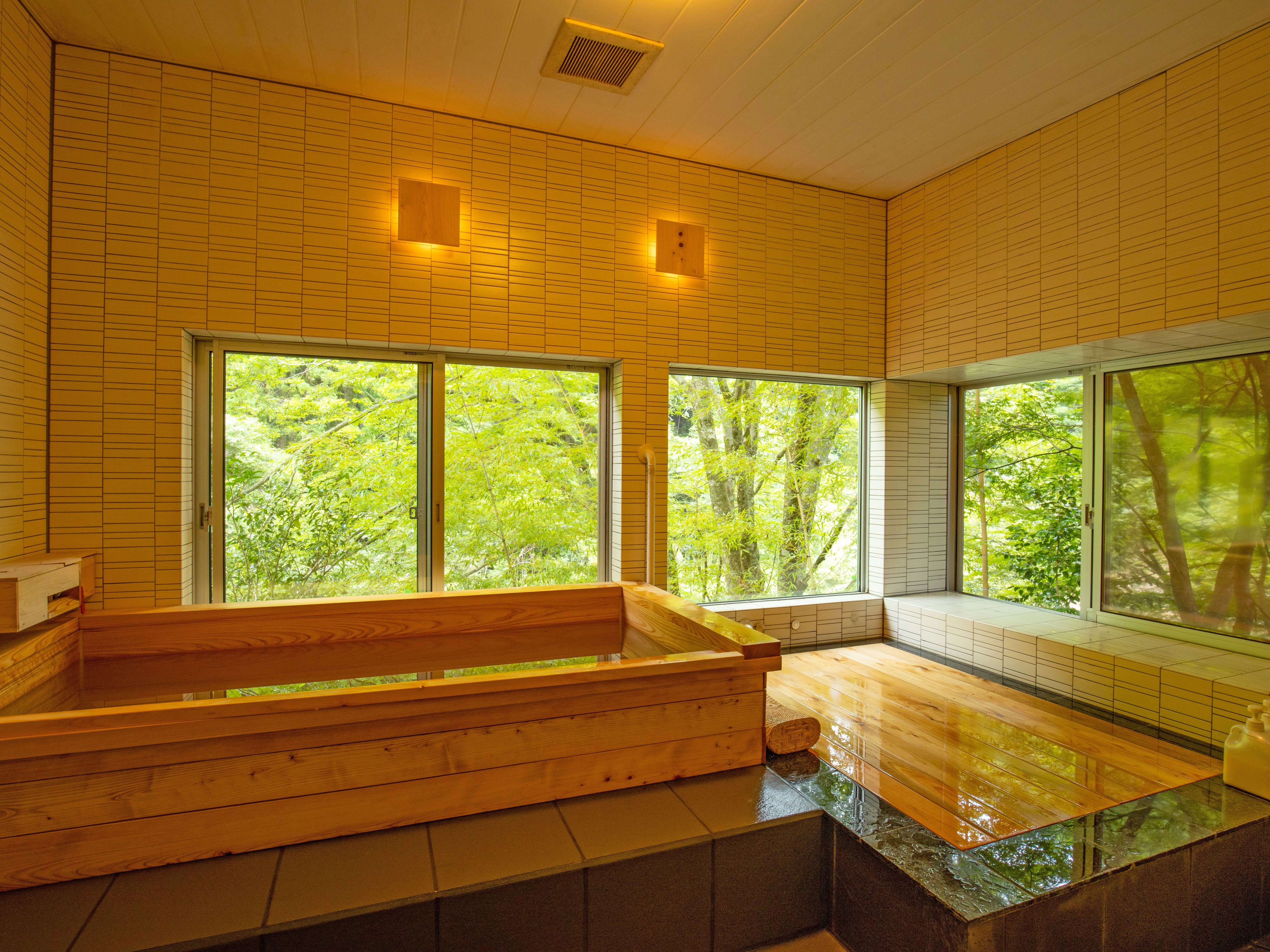 This hot spring springs up in a town at the foot of the Shikoku Karst, at the source of the Shimanto River. There are two baths available for private use: Hinoki-no-yu and Hanare-no-yu.