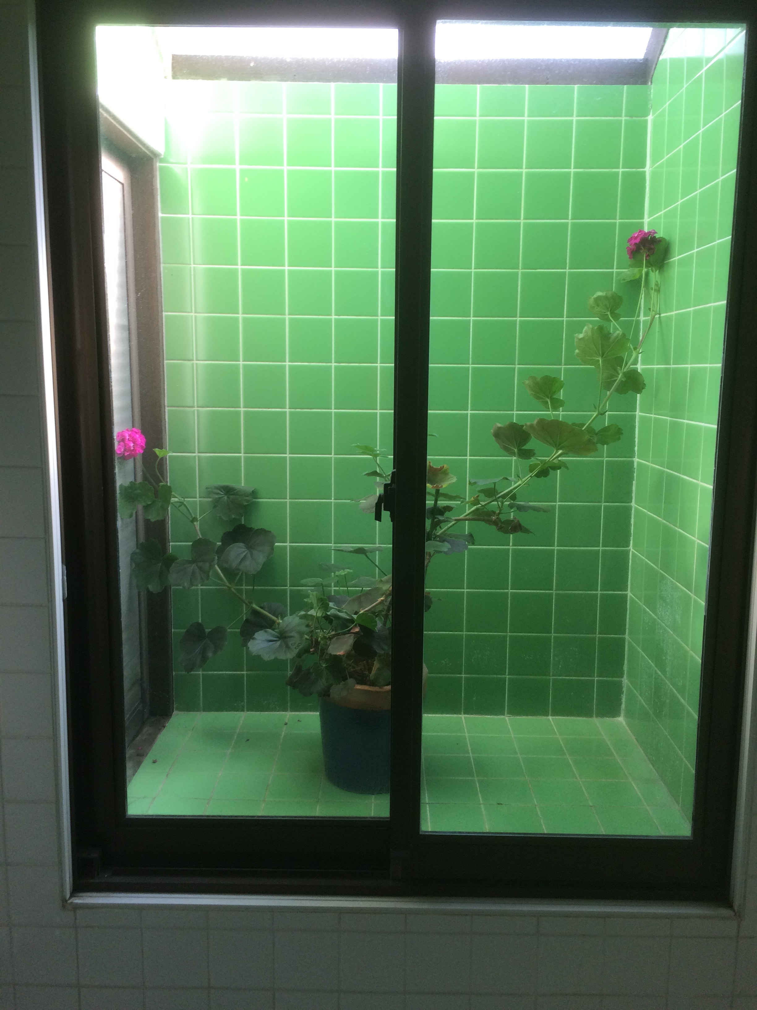 Summer bath 2
