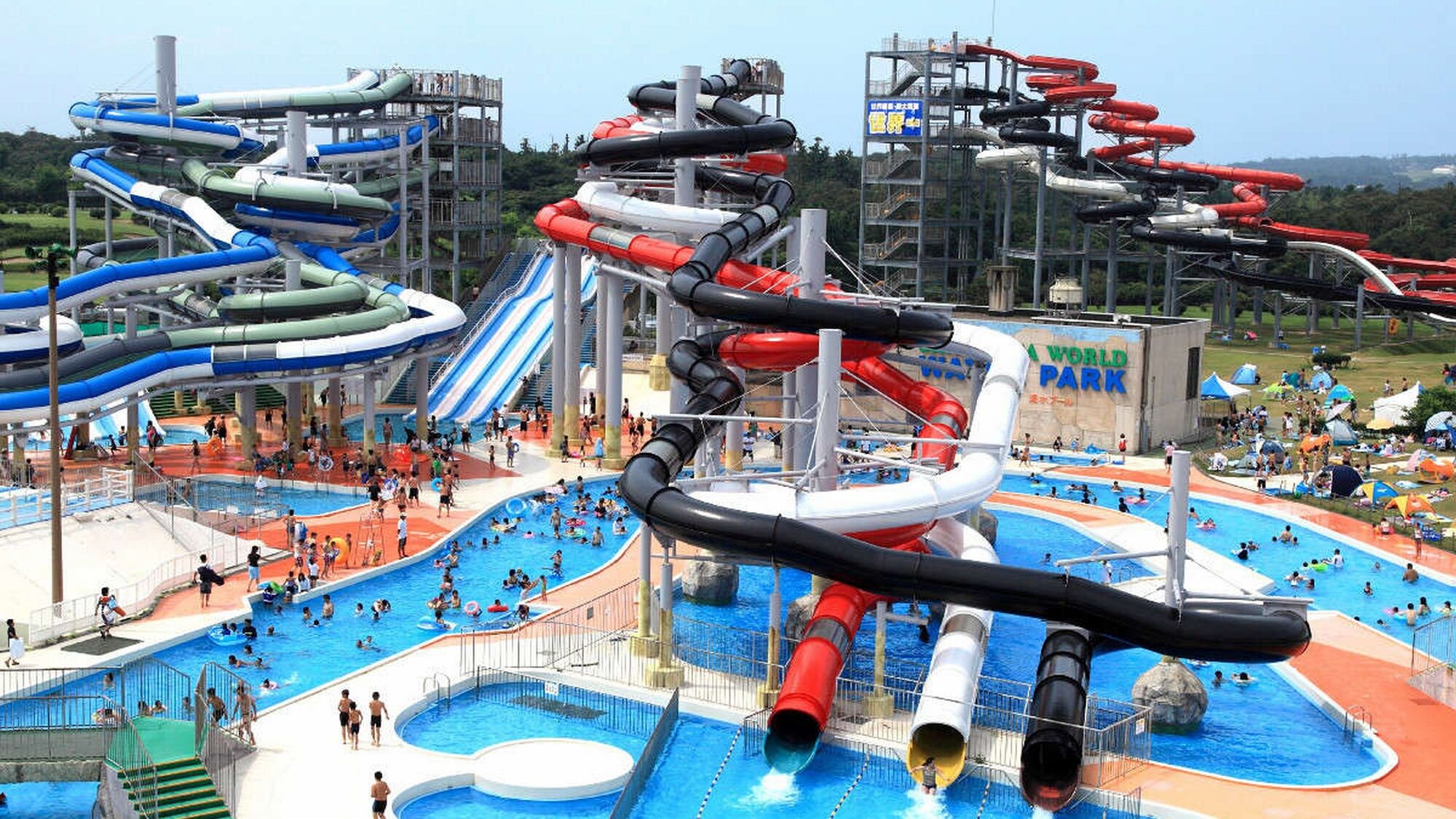 [Shibamasa World] When you think of summer in Fukui, you think of Shibamasa! It's very popular with families.