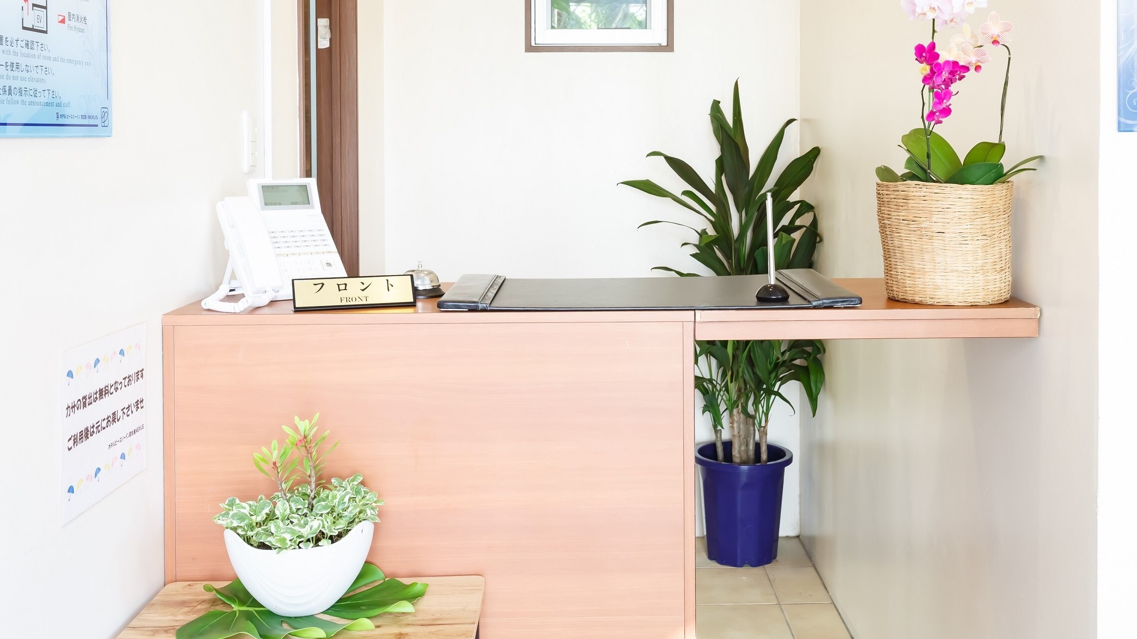 Front desk: Bright tropical flowers welcome you
