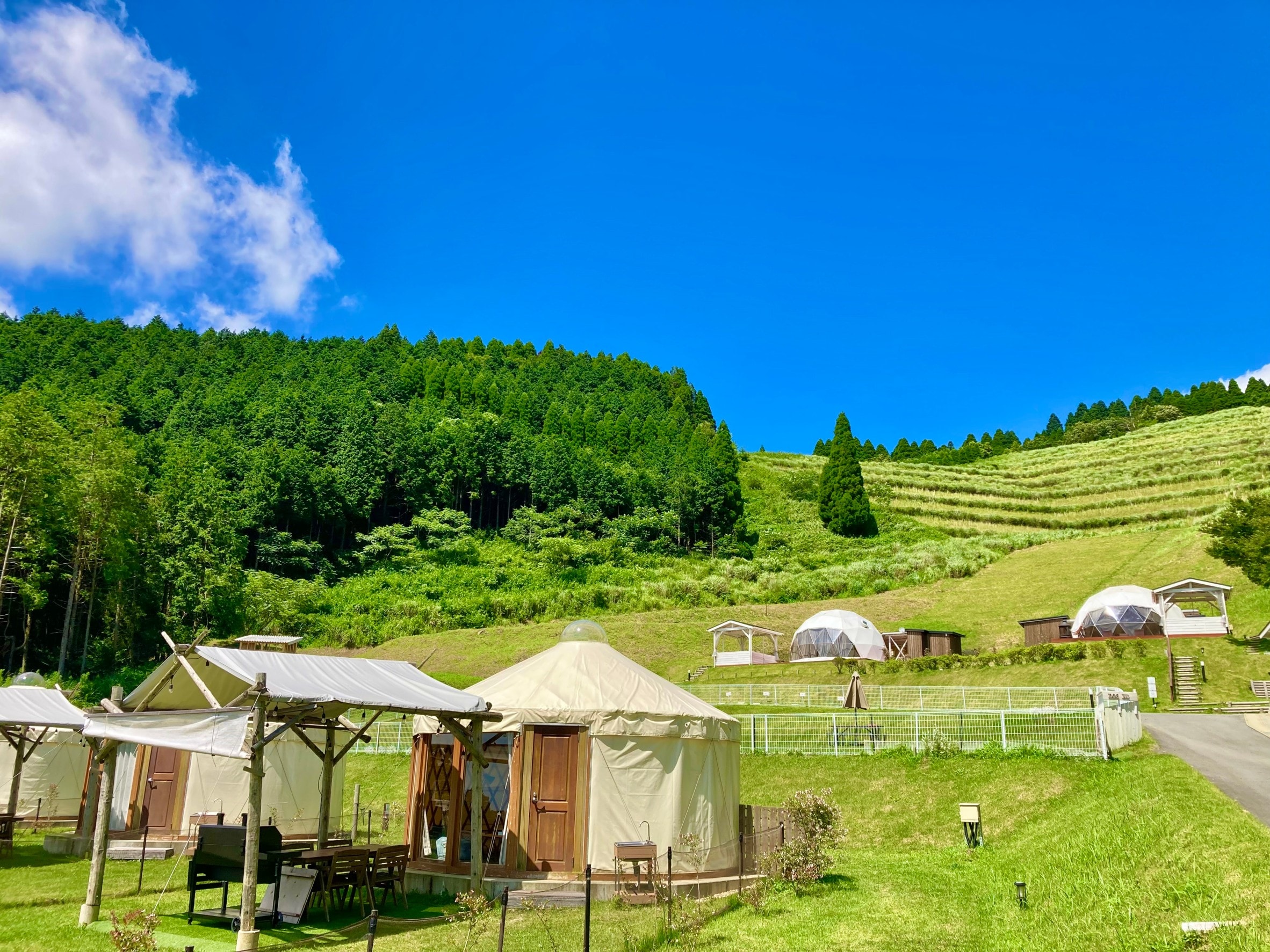Ger (casual glamping)