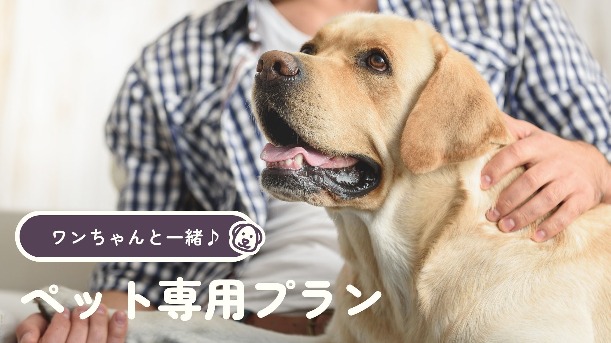 【带上你的狗狗♪☆彡】宠物专属套餐