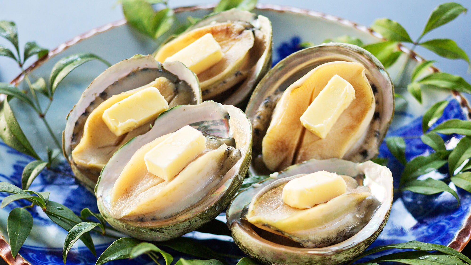 Abalone