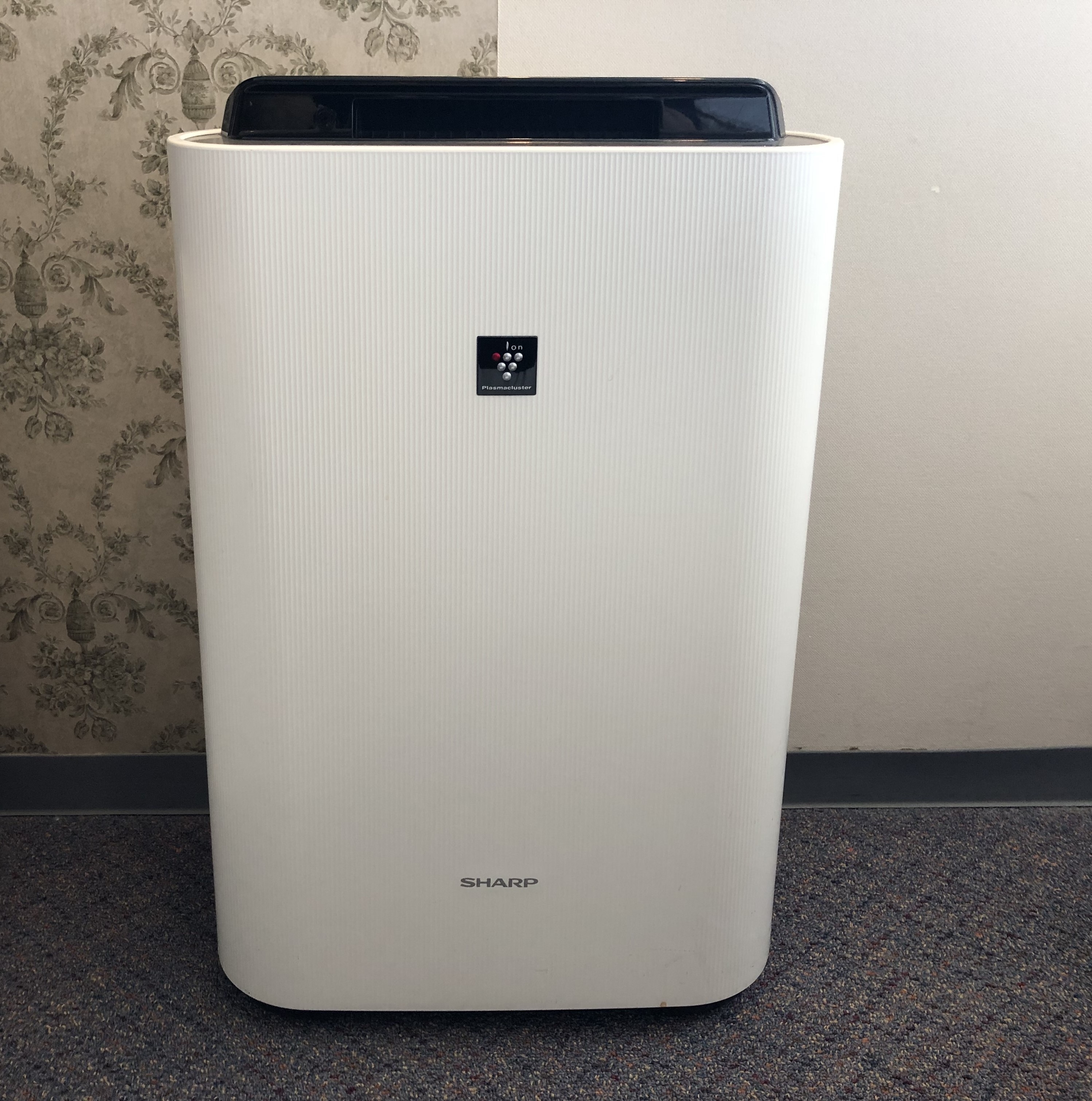 [Deluxe Single/Semi-Double/Hollywood Twin] Air purifier
