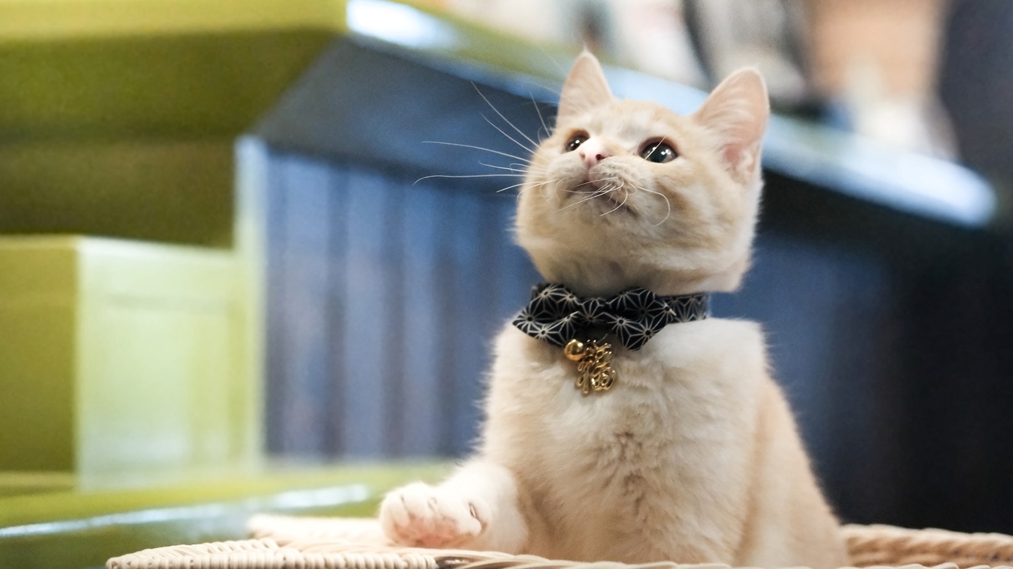 We're waiting for you!