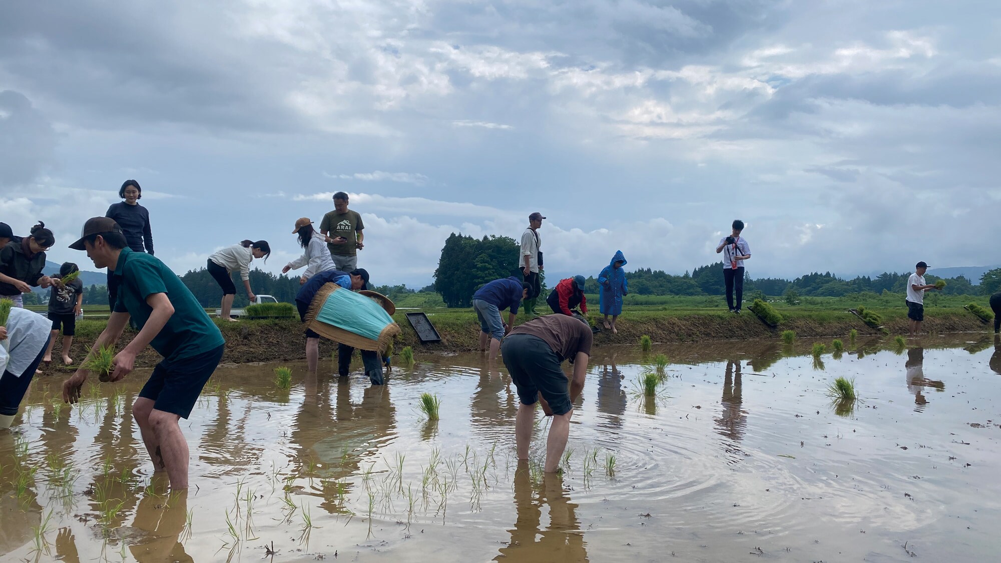 插秧體驗（圖）