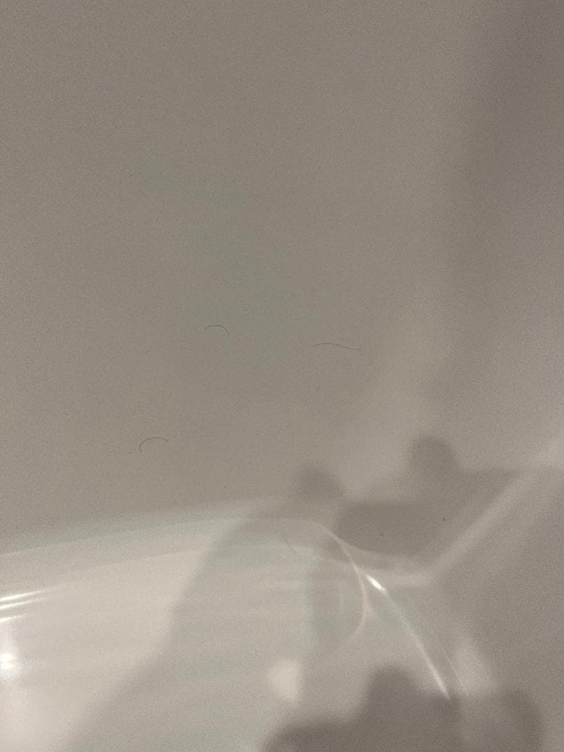 52FF6A3F-2D81-4678-947F-6DE38C076C21.jpeg