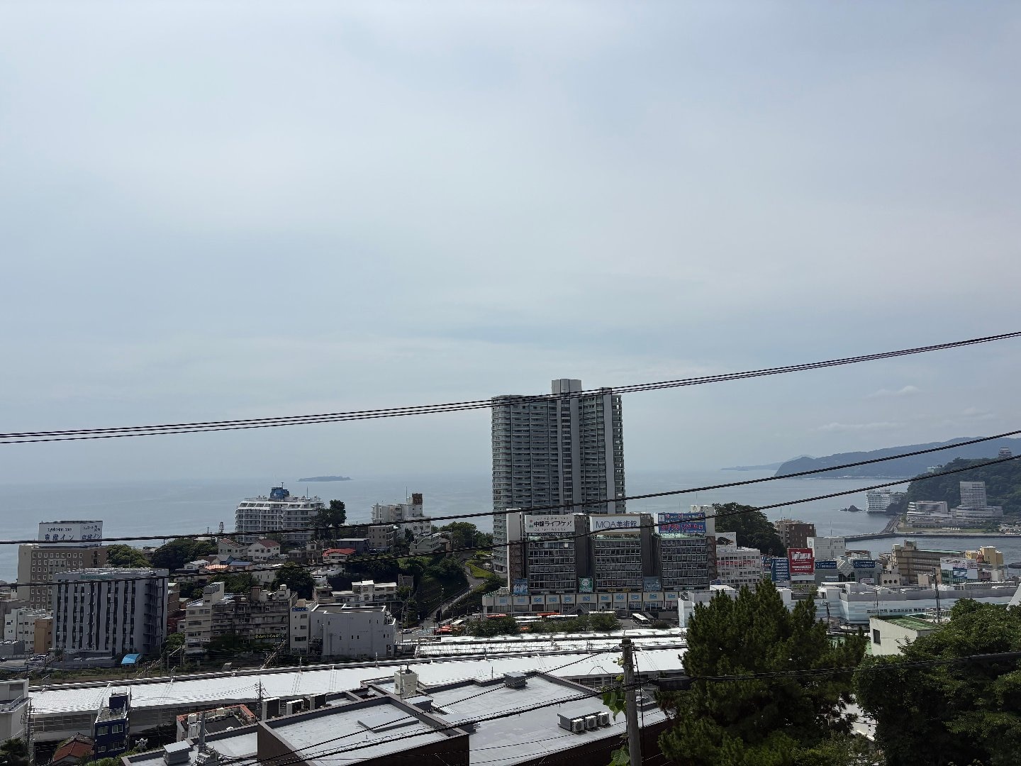 IMG_1407.jpeg