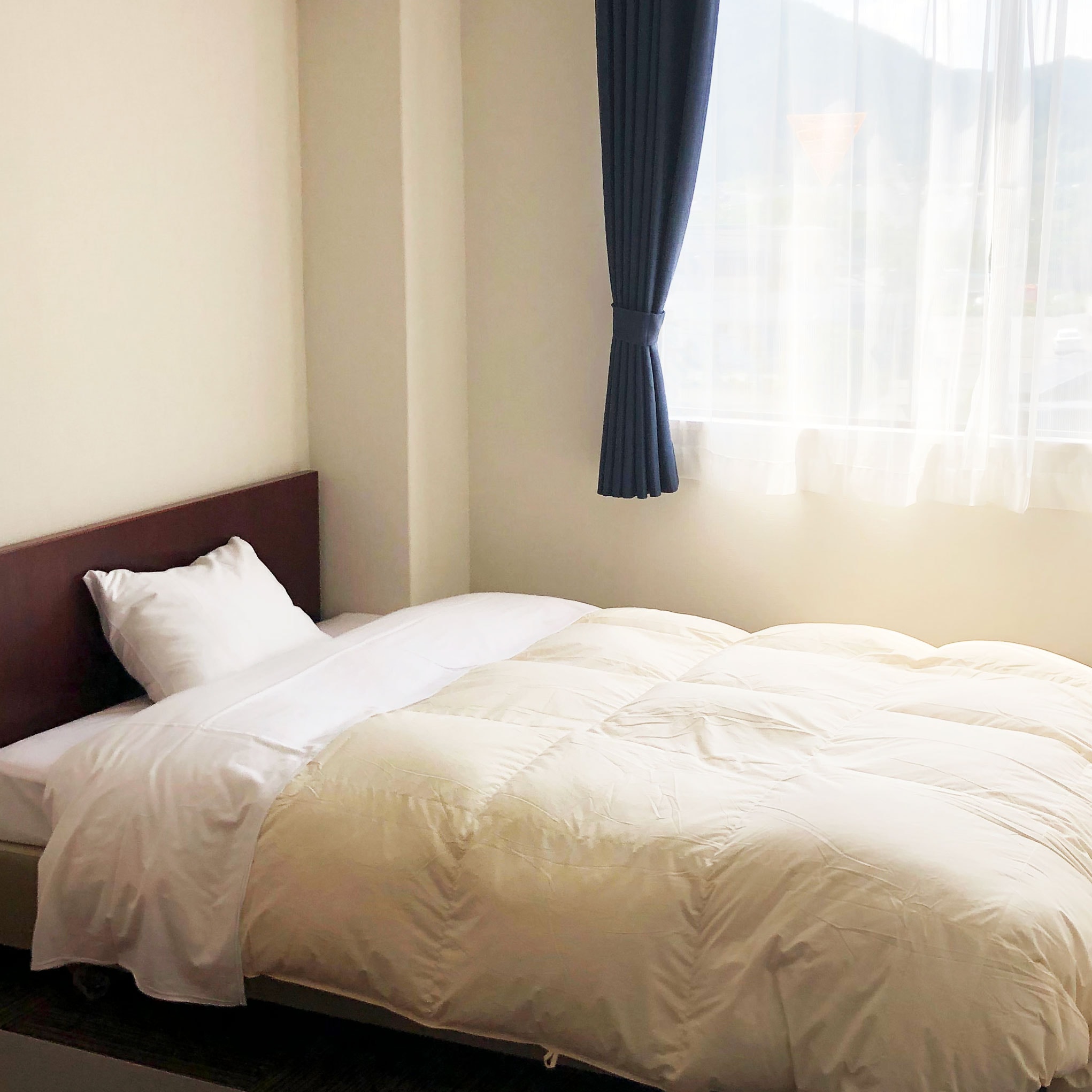 Single room (non-smoking)