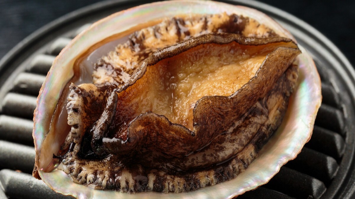 [A specially selected dish that is one rank above the rest] Grilled dancing abalone