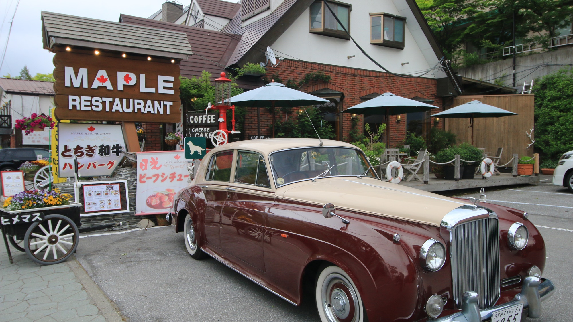 # [Restoran Maple] Restoran Maple di tepi Danau Chuzenji. Dari jendela, Anda dapat melihat alam Nikko dan danau.