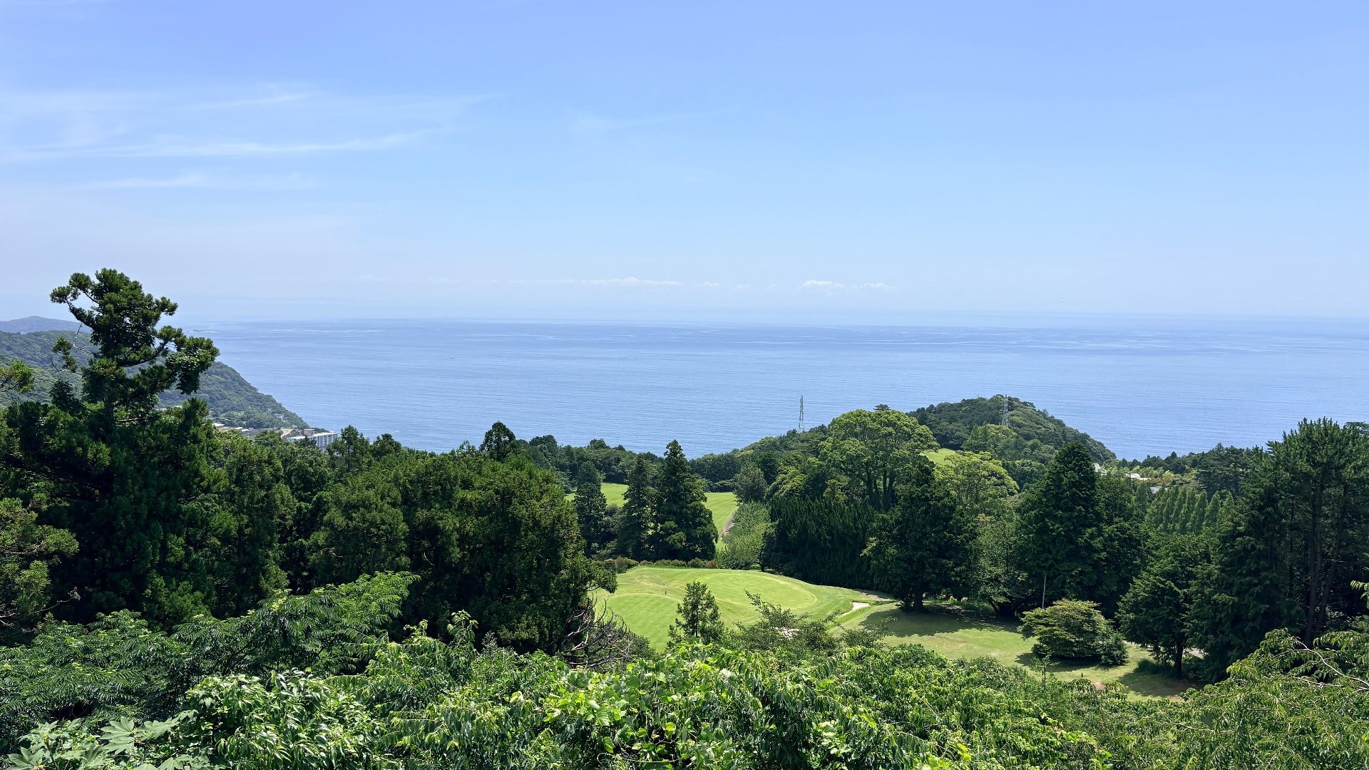 IMG_5552.jpeg