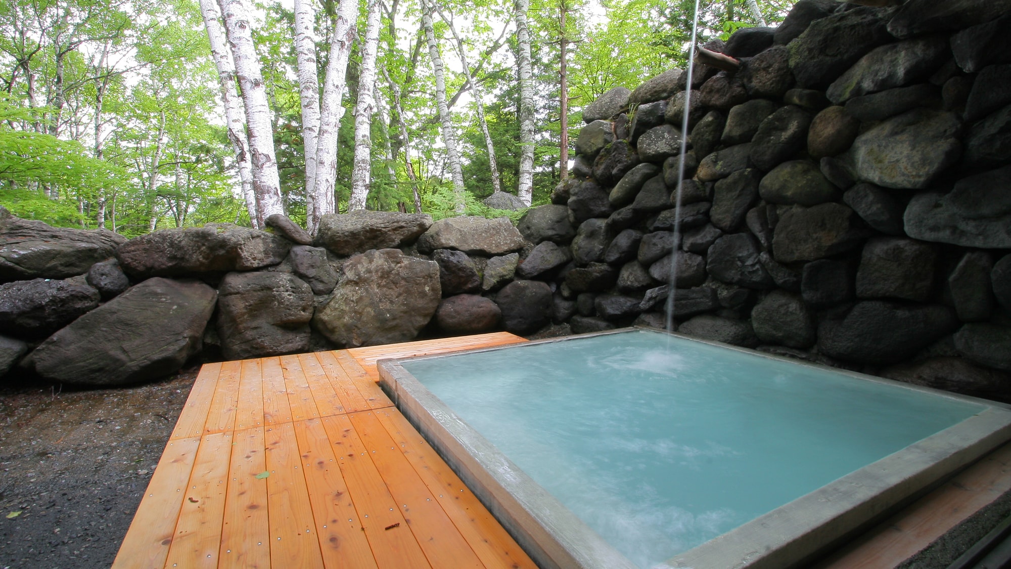 An open-air bath surrounded by forests (closed in winter)