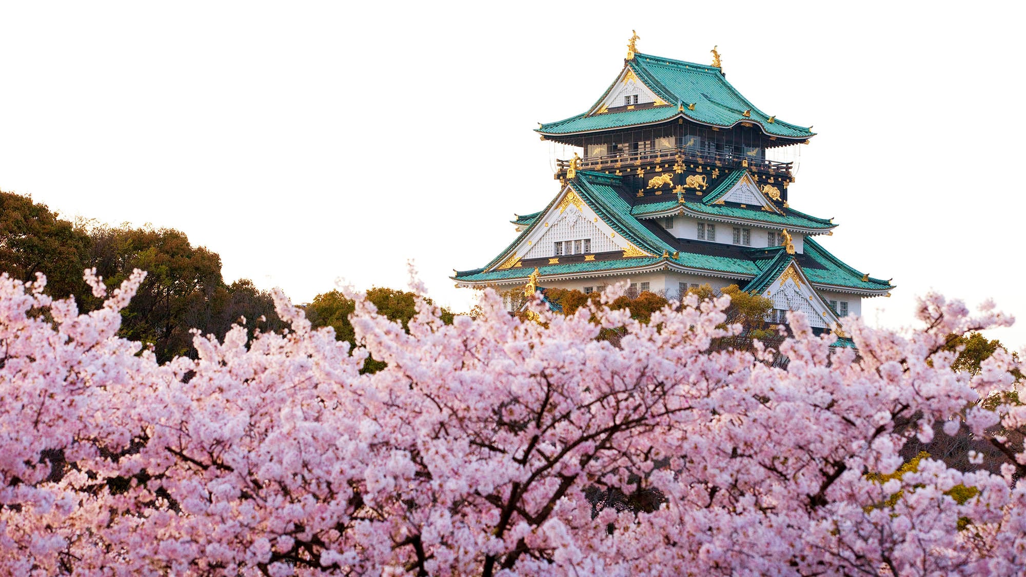 ・[Wisata di Osaka] Istana Osaka adalah salah satu simbol dari Osaka. Menara kastil saat ini dibangun kembali pada tahun 1931.