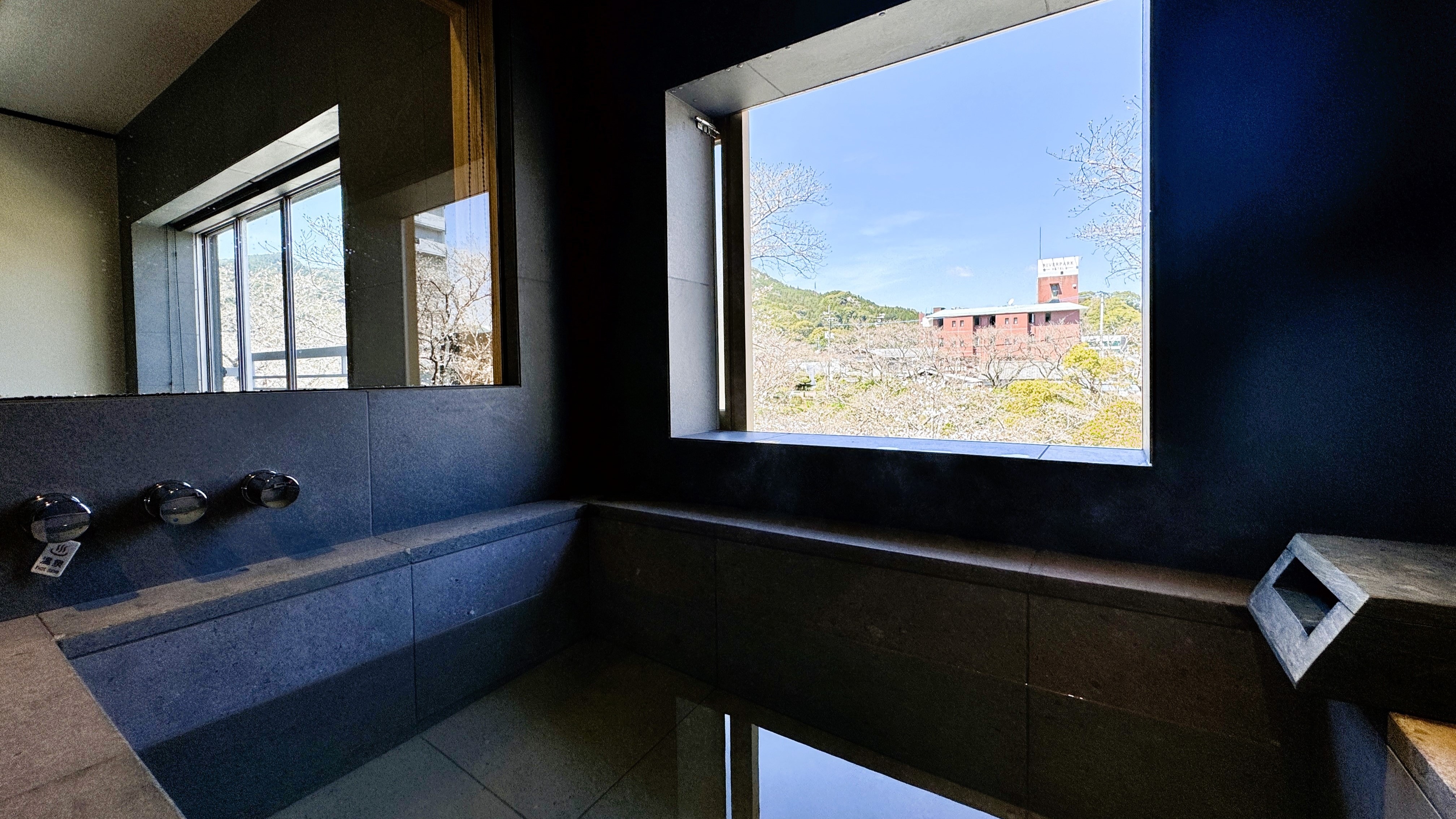Superior Japanese-Western room with hot spring "Shirakaba"