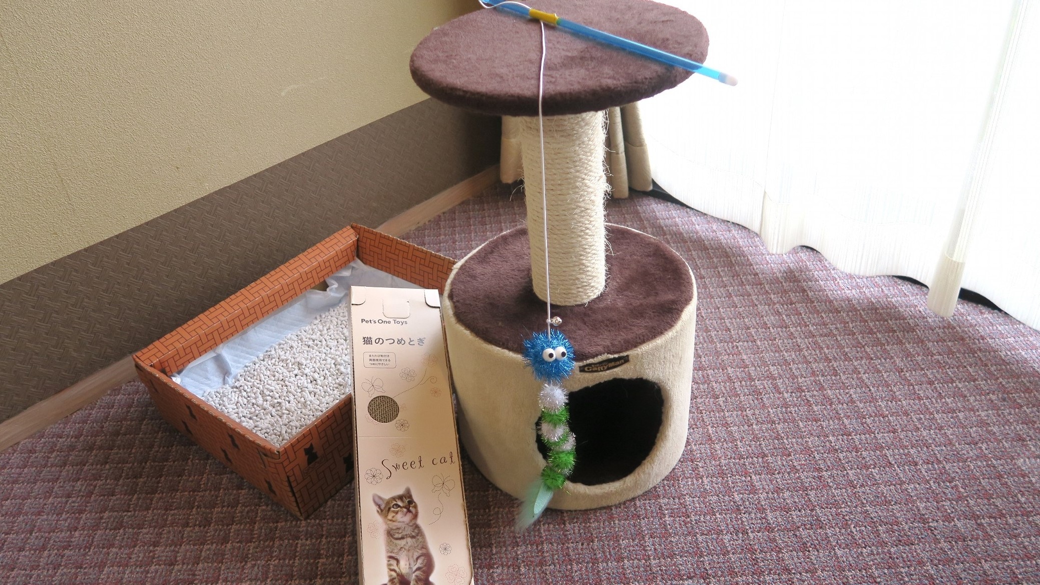 Pet amenities
