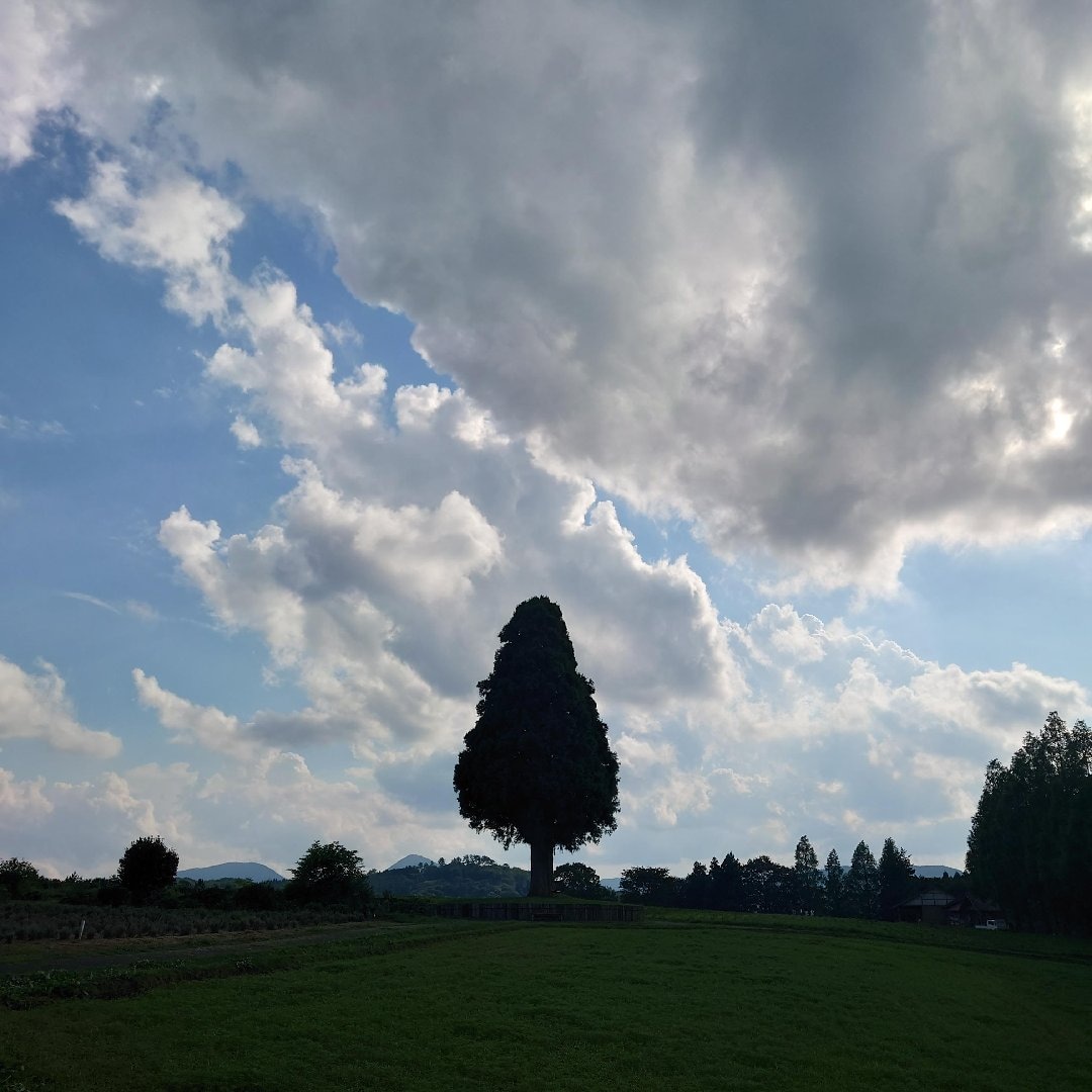 DSC_8822.JPG