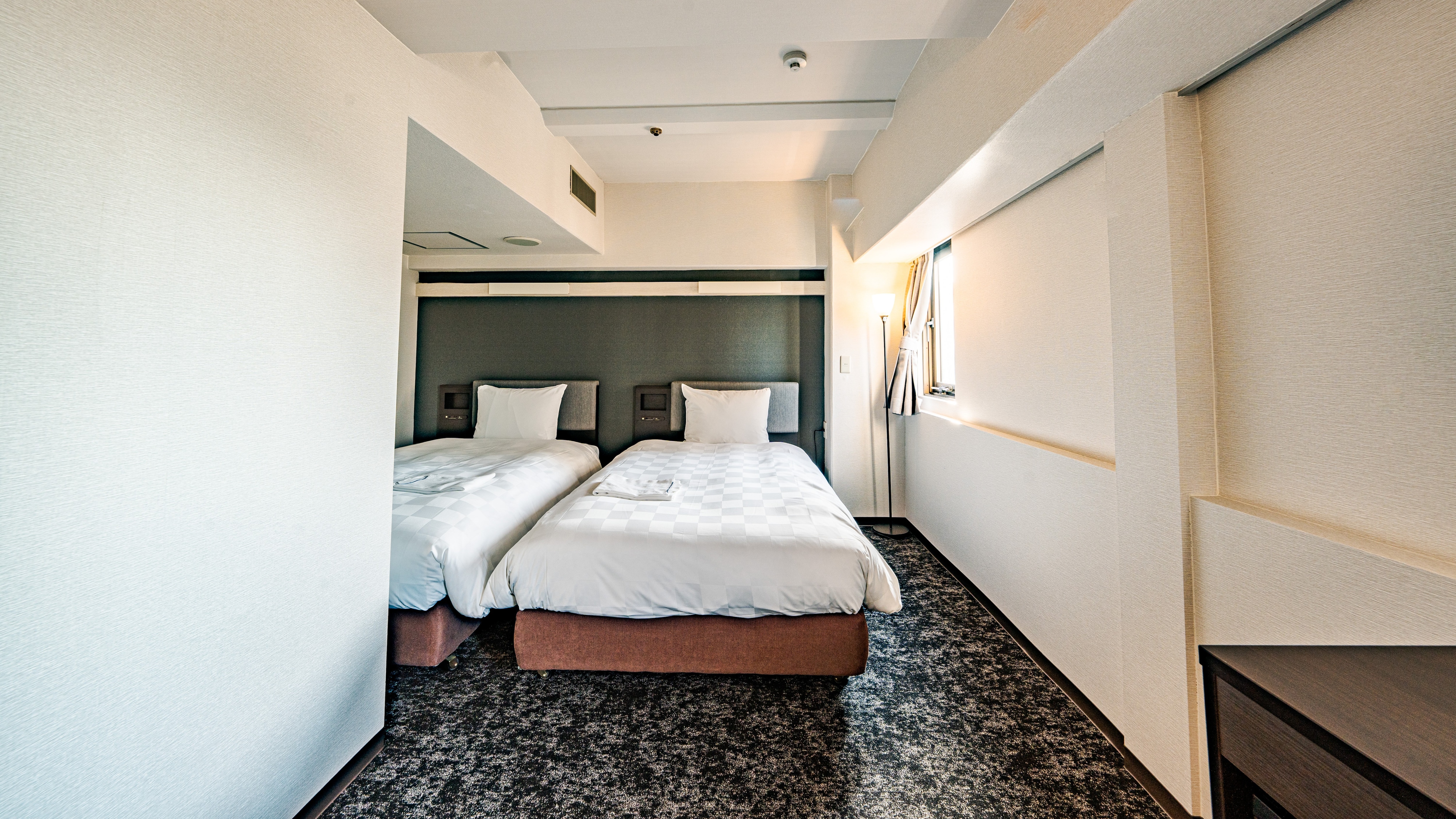 Deluxe Twin/A twin room that is slightly larger than normal. (Example of a guest room)