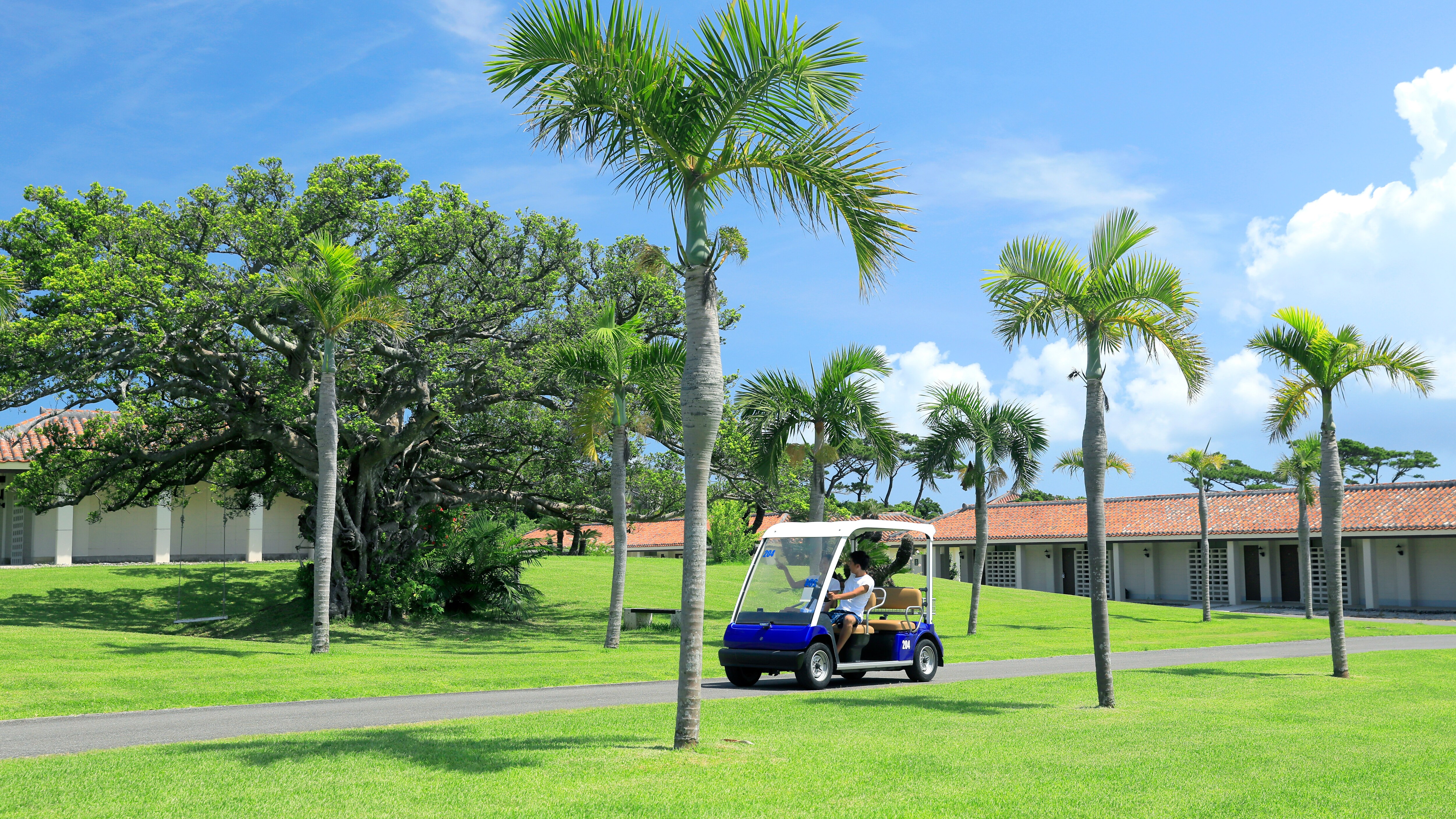 Rental Cart