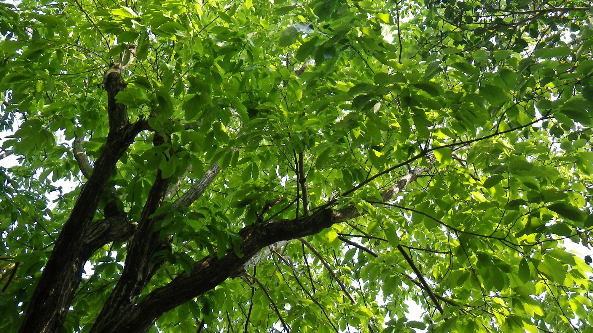 * Open-air bath / The view from the open-air bath looks like this ☆ Please enjoy a relaxing time.