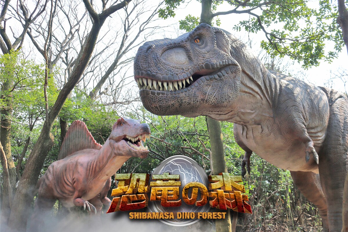 Shibamasa World: Dinosaur Forest