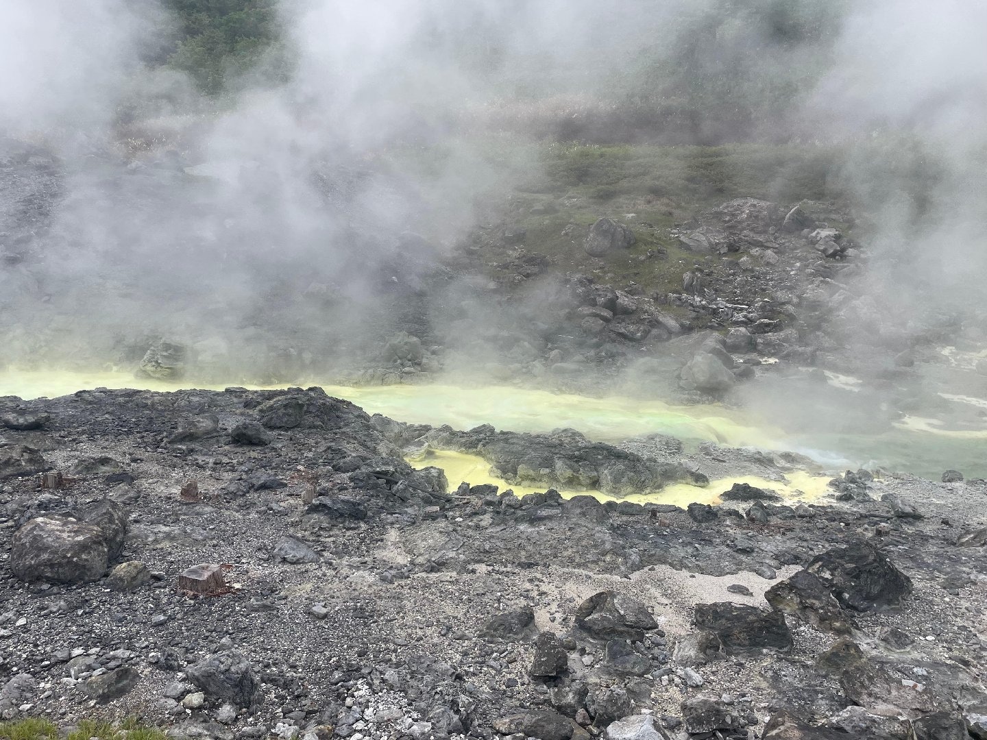 95CA1571-0900-4F6A-92B3-7DD716C2C4CF.jpeg