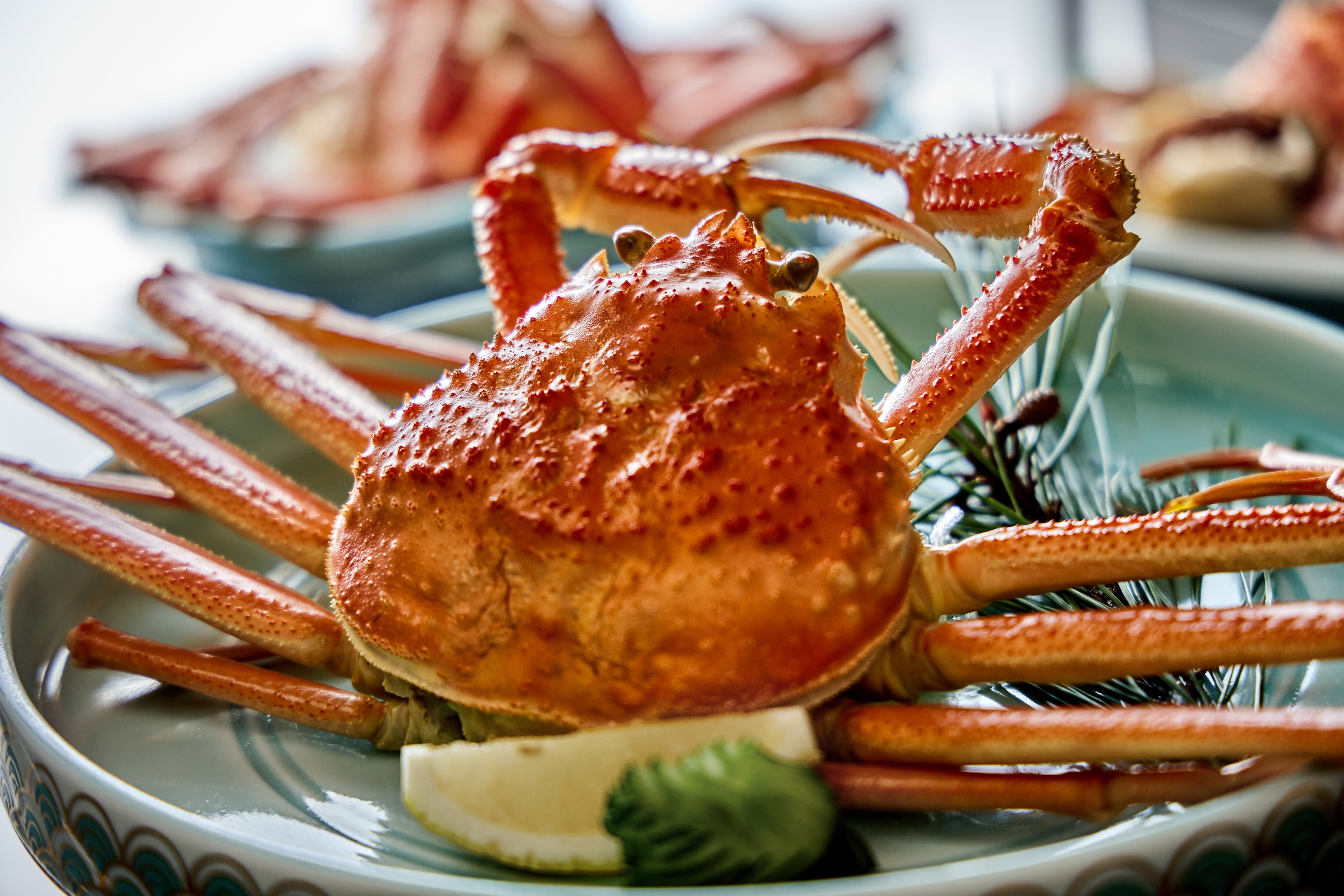 Crab x Crab Kaiseki: Domestic Crab