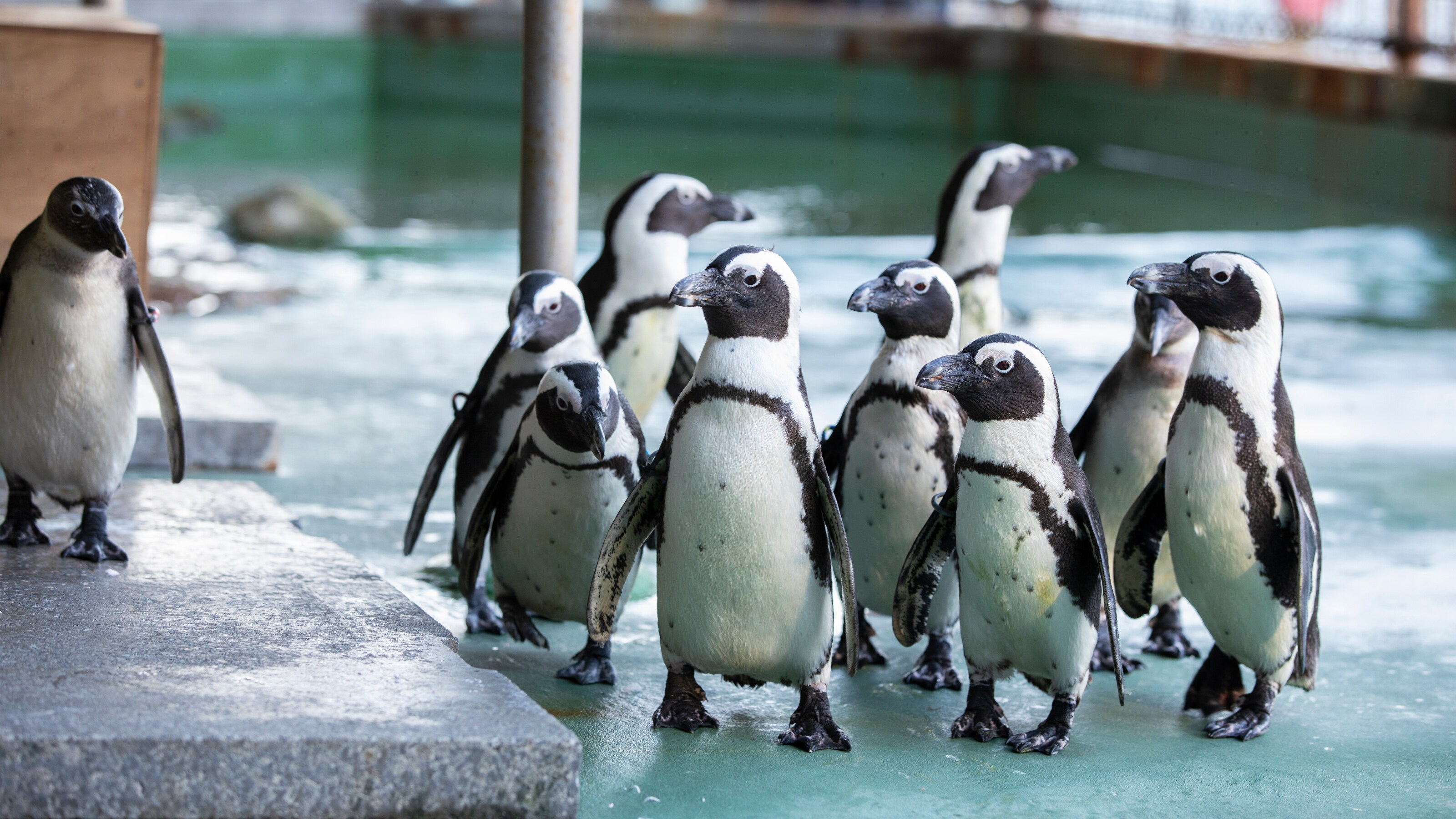 [Nearby sightseeing] Mitsu Sea Paradise