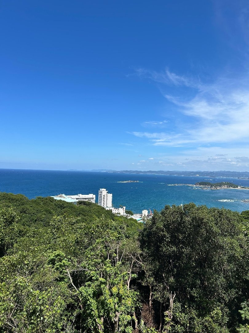 1D595559-4360-40CA-8AA7-6EF5F21E1F32.jpeg