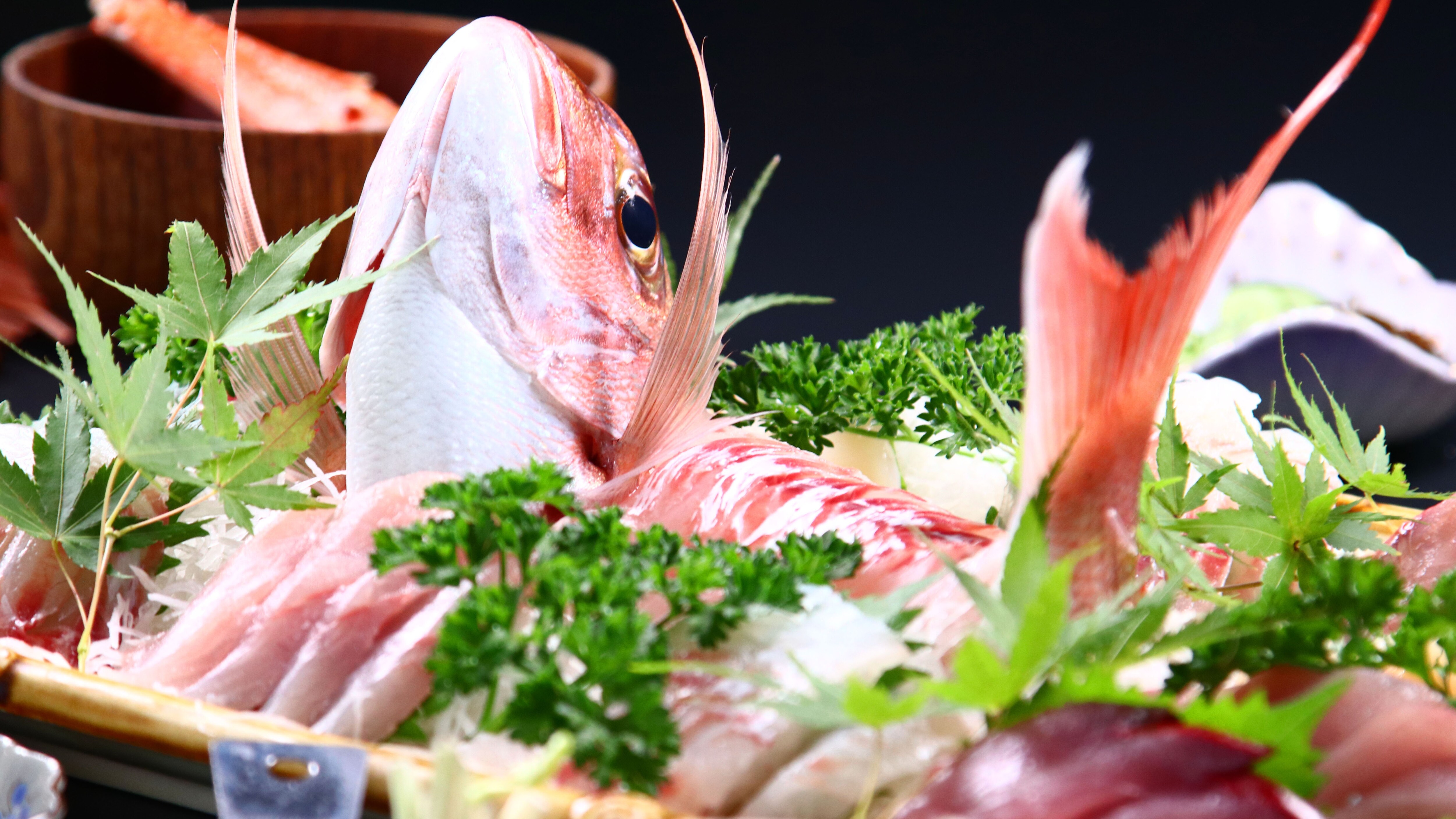 Meals: Extremely fresh sashimi
