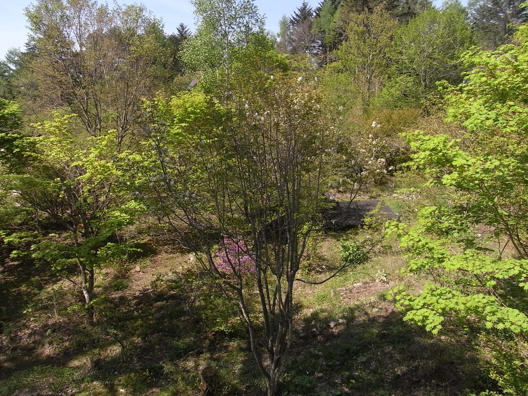 View from the guest room
