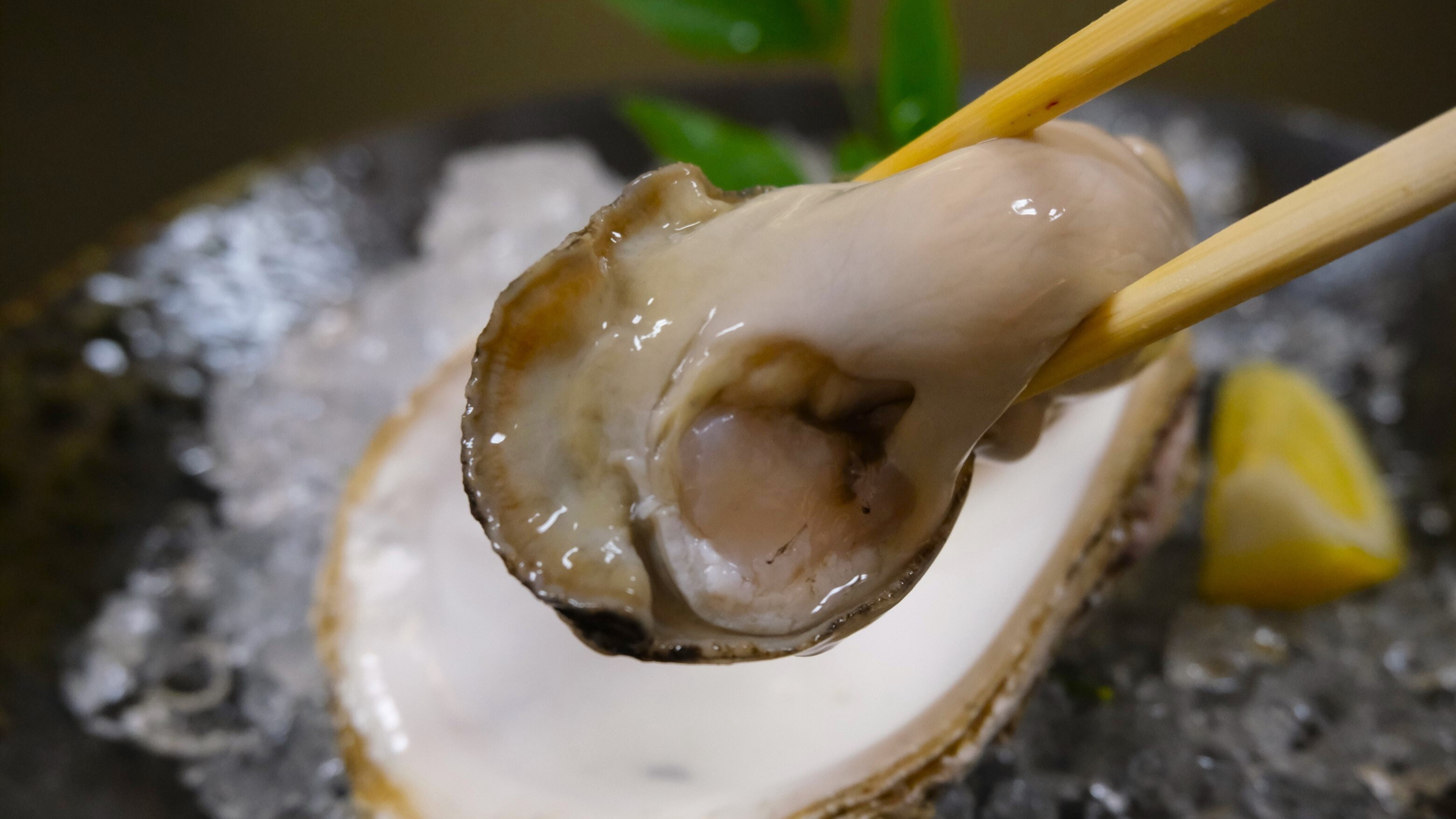 【夏季食谱】夏日美味：肥美的岩牡蛎，口感醇厚、奶香十足！