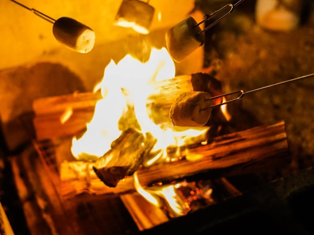 Bonfire and marshmallows