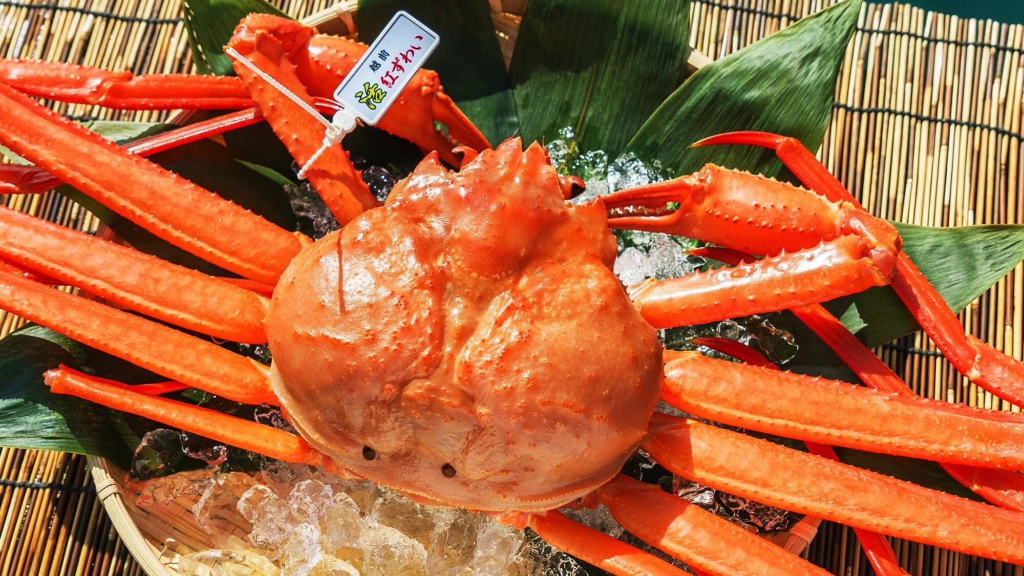 [Echizen Crab] At Ryokan Kanetomo, we offer fresh snow crab almost all year round.
